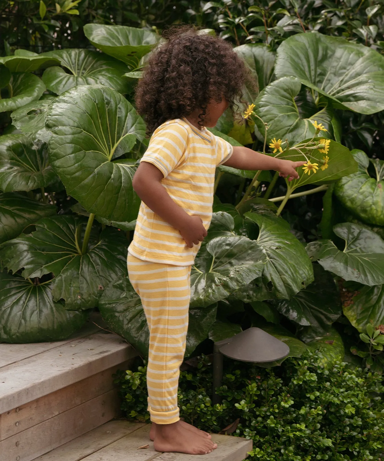 Andy Baby Legging, Yellow Stripe