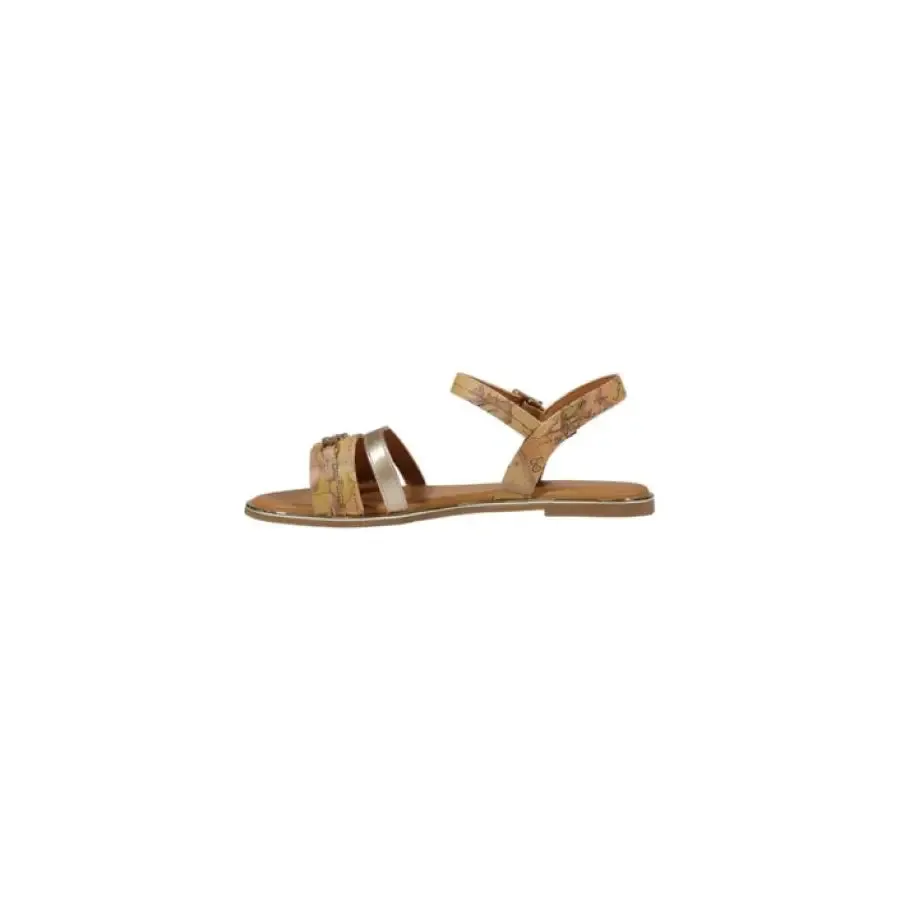 Brown and Gold Sandal