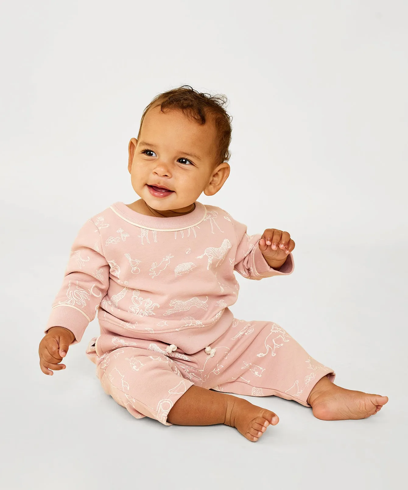 Play Day Baby Bundle, Rose Animal Parade
